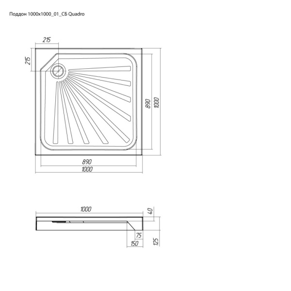 Поддон Quadro квадр.100х100_2